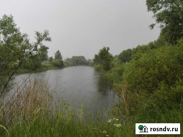 Участок СНТ, ДНП 195 сот. на продажу в Хотынце Хотынец - изображение 1