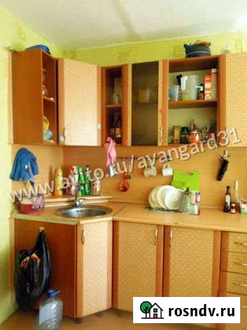 2-комнатная квартира, 45 м², 8/9 эт. в аренду на длительный срок в Белгороде Белгород - изображение 1