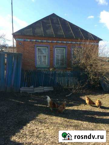 Дом 60 м² на участке 25 сот. на продажу в Погаре Погар - изображение 1