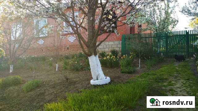 Дом 100 м² на участке 19 сот. на продажу в Новокубанске Новокубанск - изображение 1