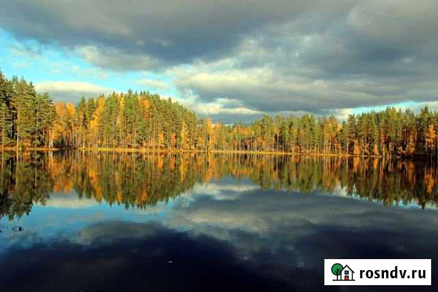 Участок ИЖС 42 сот. на продажу в Лахденпохье Лахденпохья - изображение 1