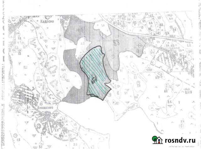 Участок ИЖС 967 сот. на продажу в Кунье Кунья - изображение 1