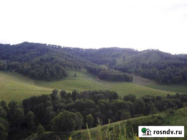 Участок СНТ, ДНП 2600 сот. на продажу в Горно-Алтайске Горно-Алтайск - изображение 1