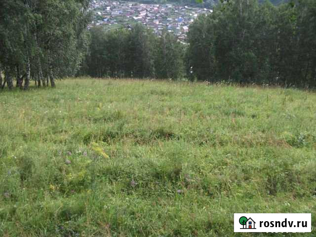 Участок СНТ, ДНП 310 сот. на продажу в Горно-Алтайске Горно-Алтайск - изображение 1