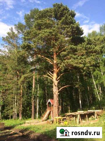 Дача 20 м² на участке 10 сот. на продажу в Емельяново Емельяново - изображение 1