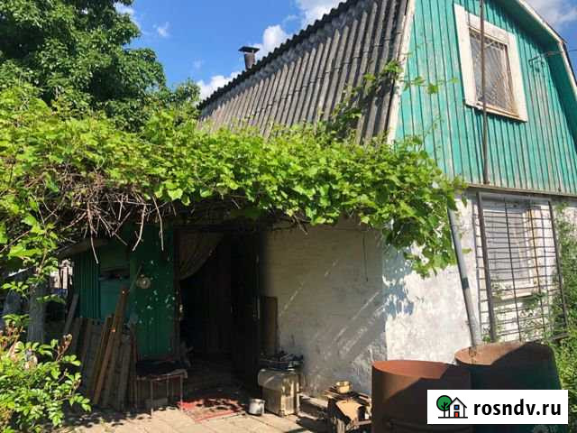 Дача 39 м² на участке 5 сот. на продажу в Калининграде Калининград - изображение 1