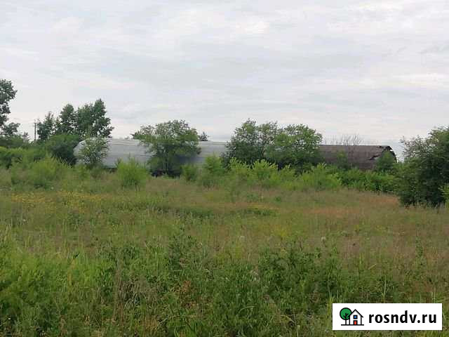 Участок ИЖС 100 сот. на продажу в Белогорске Амурской области Белогорск - изображение 1