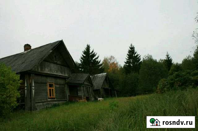 Участок СНТ, ДНП 42 сот. на продажу в Новоржеве Новоржев - изображение 1