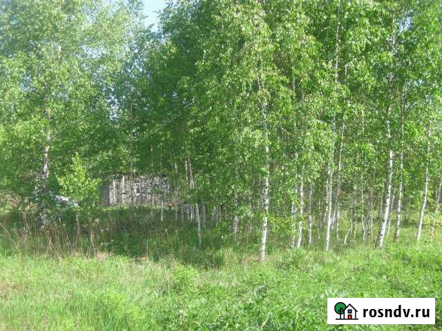 Участок СНТ, ДНП 15 сот. на продажу в Буревестнике Буревестник - изображение 1