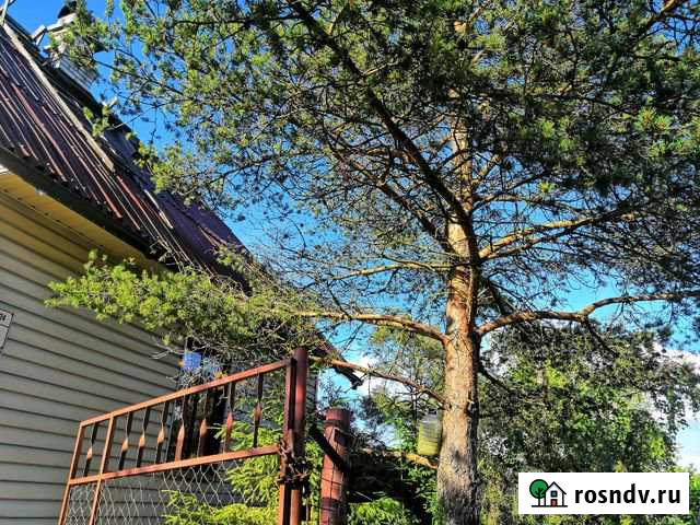 Дача 49 м² на участке 6 сот. на продажу в Санкт-Петербурге Санкт-Петербург - изображение 1