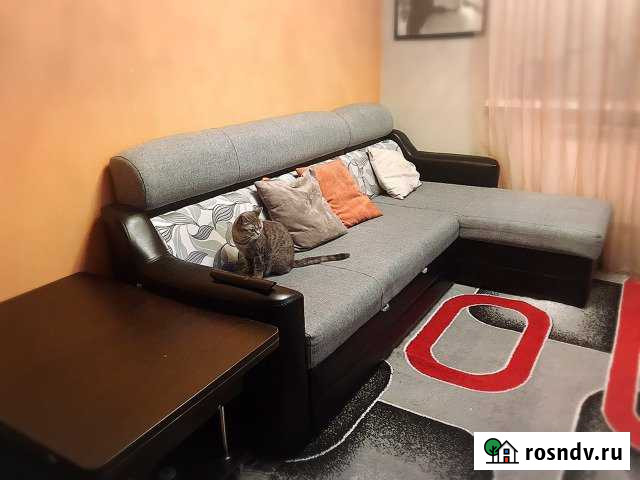 3-комнатная квартира, 50 м², 1/5 эт. на продажу в Менделеево Тюменской области Менделеево - изображение 1