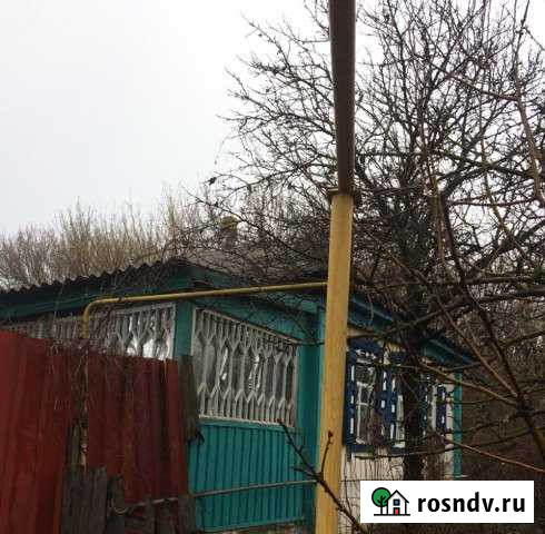 Дом 40 м² на участке 50 сот. на продажу в Каменке Воронежской области Каменка - изображение 1
