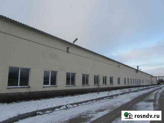 Складские помещения, от 48 до 1119,4 кв.м Чернянка