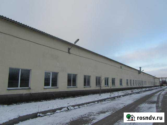 Складские помещения, от 48 до 1119,4 кв.м Чернянка - изображение 1