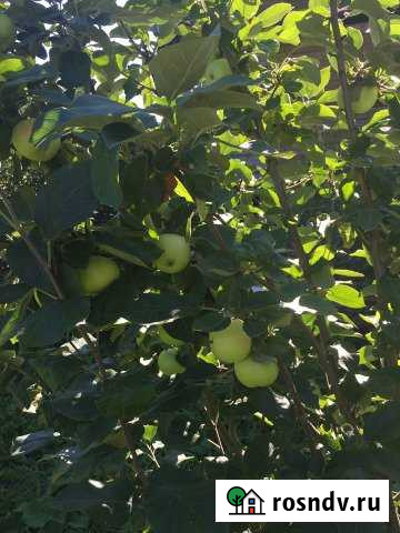 Участок ИЖС 15 сот. на продажу в Маркове Маркова - изображение 1