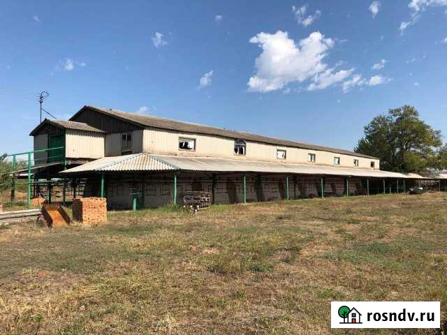 Кирпичный завод Крыловская - изображение 1