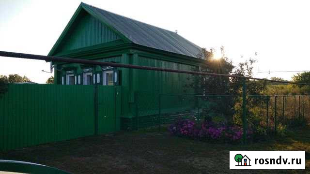 Дом 52 м² на участке 45 сот. на продажу в Борском Борское - изображение 1