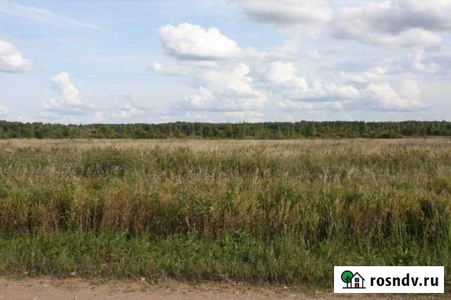 Участок ИЖС 530 сот. на продажу в Чудово Чудово - изображение 1