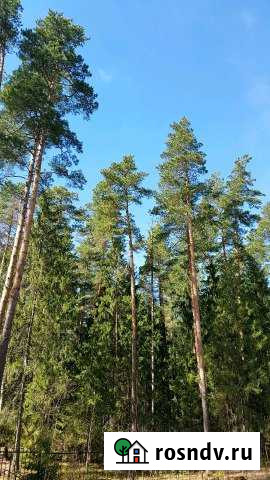 Участок ИЖС 20 сот. на продажу в Городце Городец - изображение 1