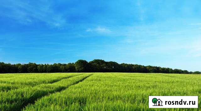 Участок ИЖС 25 сот. на продажу в Бабынино Бабынино - изображение 1