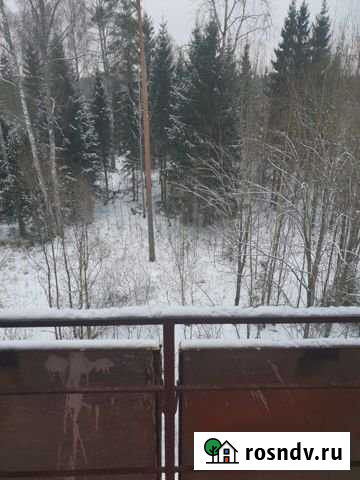 1-комнатная квартира, 32 м², 4/5 эт. на продажу в Федотово Федотово - изображение 1