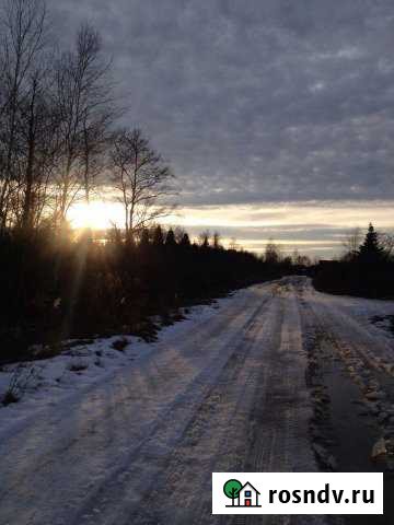 Участок СНТ, ДНП 8 сот. на продажу в Большом Полпино Большое Полпино - изображение 1