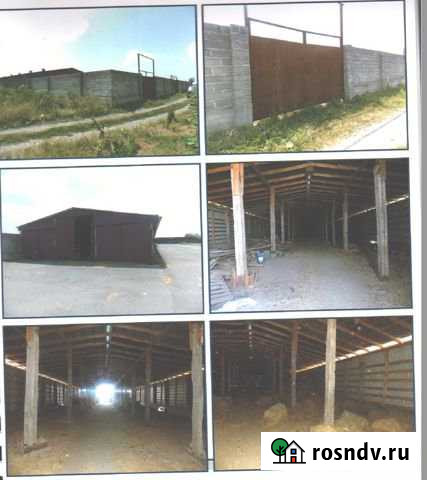 Участок ИЖС 2728 сот. на продажу в Хумалаге Хумалаг - изображение 1