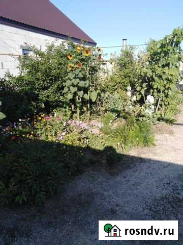 Дом 66 м² на участке 14 сот. в аренду посуточно в Должанской Должанская - изображение 1