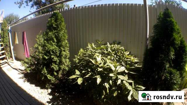 Комната 15 м² в 1-ком. кв., 2/2 эт. в аренду на длительный срок в Витязево Витязево - изображение 1