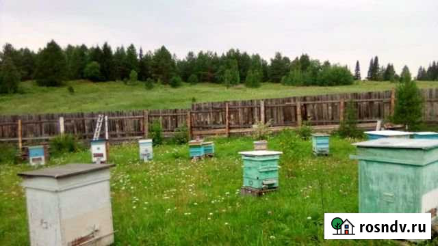 Участок ИЖС 15 сот. на продажу в Староуткинске Староуткинск - изображение 1