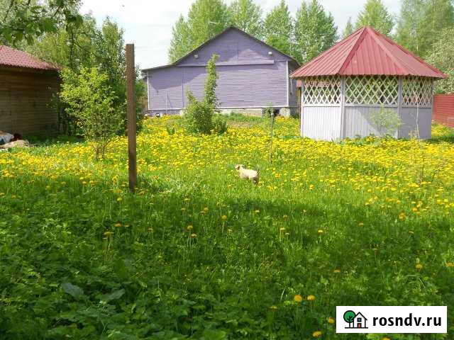 Дача 43 м² на участке 12 сот. на продажу в Борисоглебском Борисоглебский - изображение 1