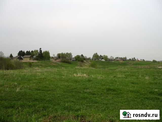 Участок СНТ, ДНП 1200 сот. на продажу в Кесовой Горе Кесова Гора - изображение 1