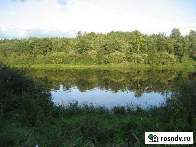 Участок СНТ, ДНП 54 сот. на продажу в Пушкинских Горах Пушкинские Горы - изображение 1