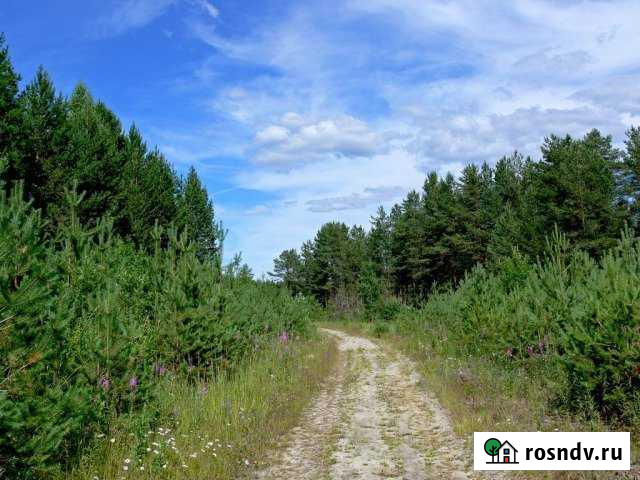 Участок ИЖС 150 сот. на продажу в Медвежьегорске Медвежьегорск - изображение 1