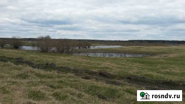 Участок ИЖС 48 сот. на продажу в Луговском Луговской - изображение 1