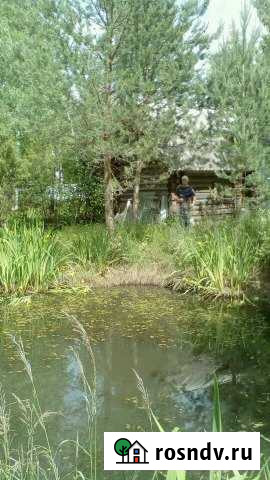 Дача 20 м² на участке 17 сот. на продажу в Пскове Псков - изображение 1