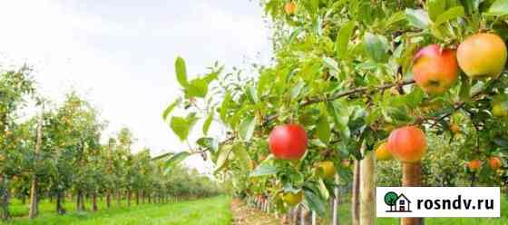 Участок ИЖС 8 сот. на продажу в Тюбуке Тюбук