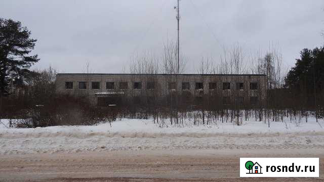 Административное здание, 1127.7 кв.м. д. Бор Тихвин - изображение 1