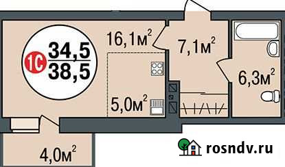 Своб. планировка, 38.5 кв.м., 14/24 эт. Новосибирск - изображение 1