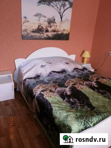 2-комнатная квартира, 45 м², 4/5 эт. в аренду посуточно в Дзержинске Дзержинск - изображение 1