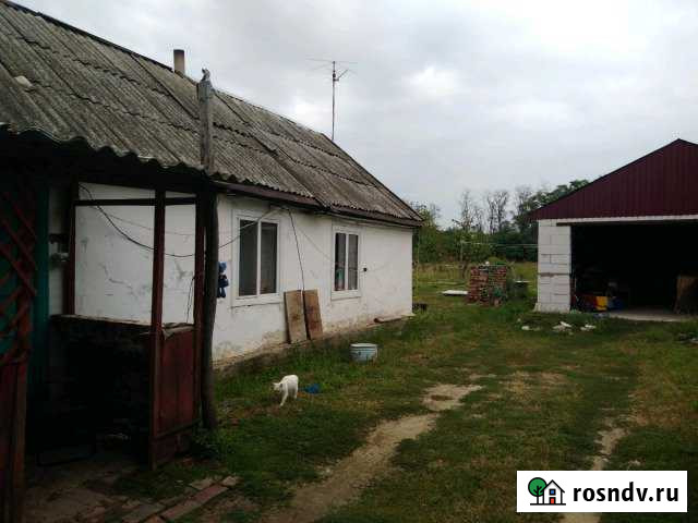 Дом 30 м² на участке 30 сот. на продажу в Гулькевичах Гулькевичи - изображение 1