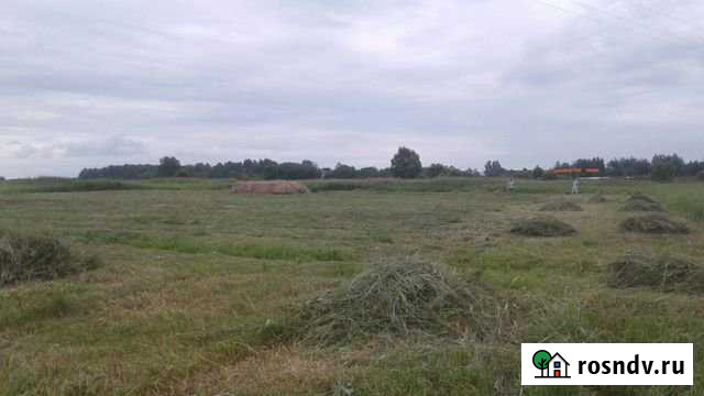 Участок СНТ, ДНП 27 сот. на продажу в Вязьме Вязьма - изображение 1