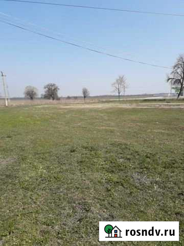 Участок ИЖС 77 сот. на продажу в Шали Шали - изображение 1