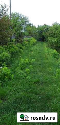 Дача 20 м² на участке 5 сот. на продажу в Брянске Брянск - изображение 1