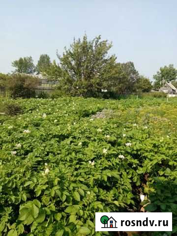 Дача 25 м² на участке 5 сот. на продажу в Советской Гавани Советская Гавань - изображение 1