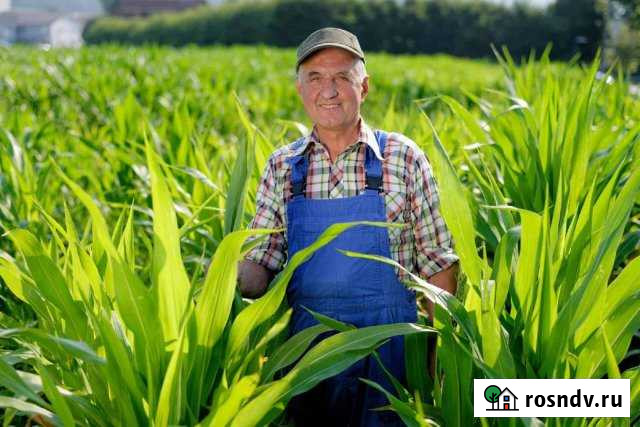 Участок СНТ, ДНП 227700 сот. на продажу в Николаевке Еврейской АО Николаевка - изображение 1