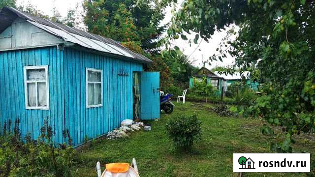 Дача 20 м² на участке 8 сот. на продажу в Южном Алтайского края Южный - изображение 1