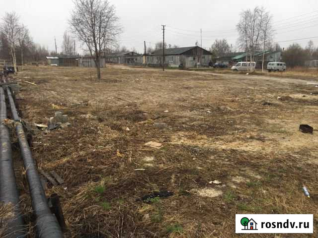 Участок ИЖС 721 сот. на продажу в Ноябрьске Ноябрьск - изображение 1