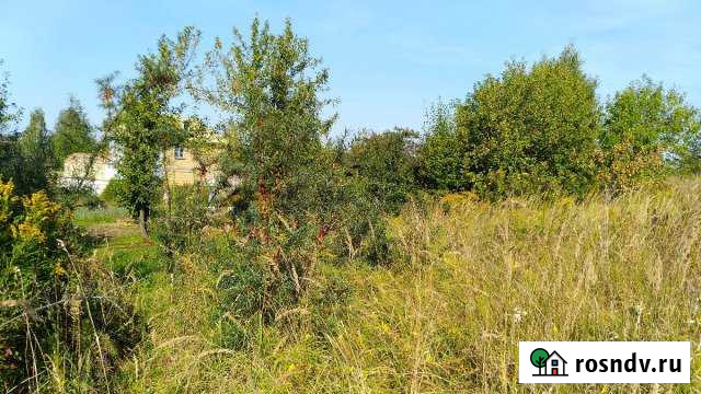 Участок СНТ, ДНП 15 сот. на продажу в Буревестнике Буревестник - изображение 1