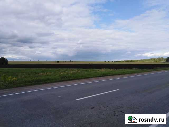 Участок СНТ, ДНП 1000 сот. на продажу в Белоярском Свердловской области Белоярский - изображение 1